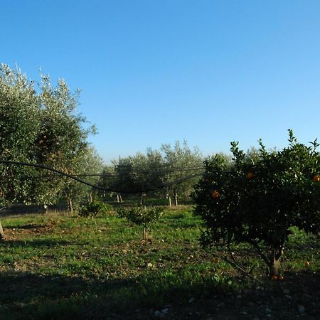 Agriturismo - B&B "La Funicolare" Francavilla Marittima Екстер'єр фото