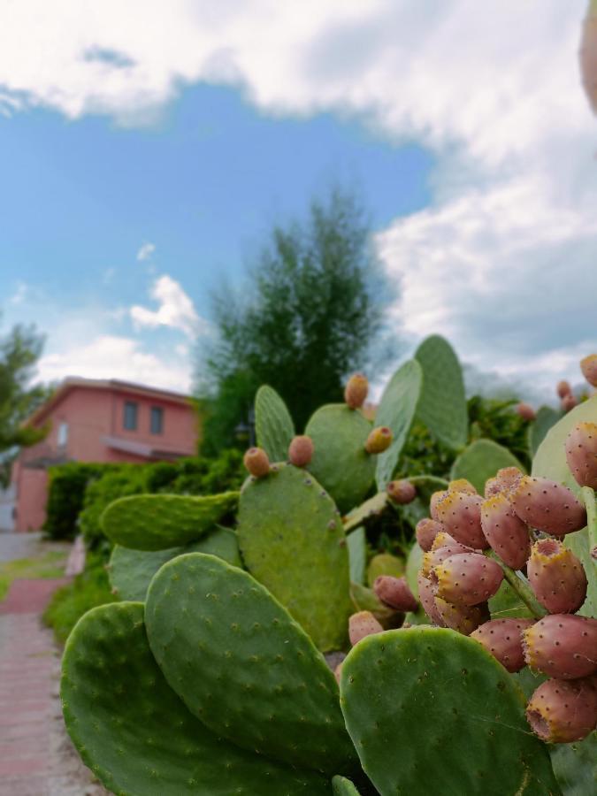 Agriturismo - B&B "La Funicolare" Francavilla Marittima Екстер'єр фото