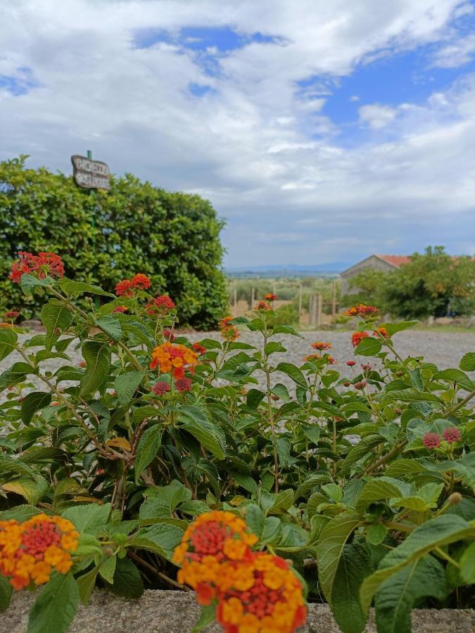 Agriturismo - B&B "La Funicolare" Francavilla Marittima Екстер'єр фото