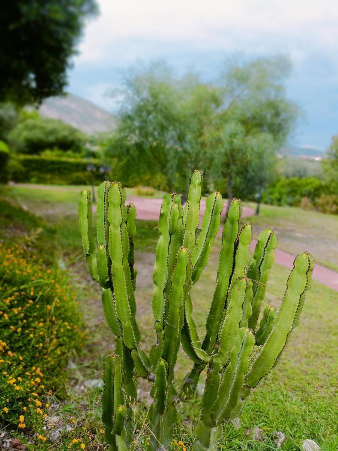 Agriturismo - B&B "La Funicolare" Francavilla Marittima Екстер'єр фото